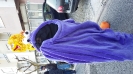 Desfile Carnaval_11