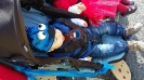 Desfile Carnaval_13