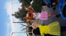 Desfile Carnaval_9