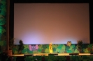 Festa de Reis - A Selva_7