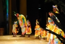 Festa de Reis - A Selva_7